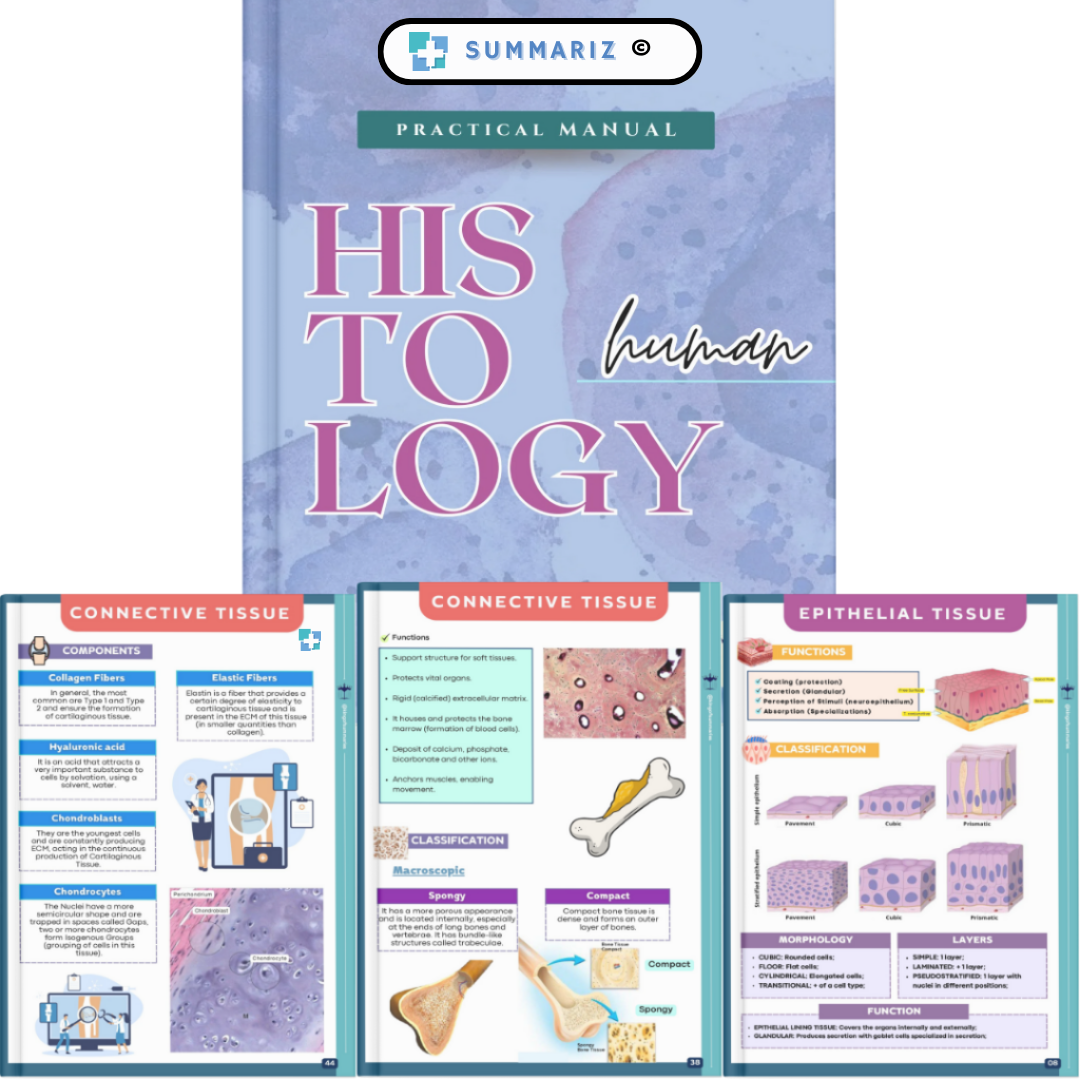 Histology, Healthcare Studies, Medical Education, Adipose Tissue, Muscle Tissue, Nerve Tissue, Neurons, Glial Cells, Histological Slides, Skeletal Striated Muscle, Muscle Contraction, Neuron Types, Histological Organization, Muscle Fibers, Histological Analysis, Tissue Classification, Medical Reference, Clinical Practice, Study Material, Digital Guide, PDF Material, Science Students, Biomedical Studies, Healthcare Education, Medical Students, Nursing Students, Health Professionals, Laboratory Techniques, Me