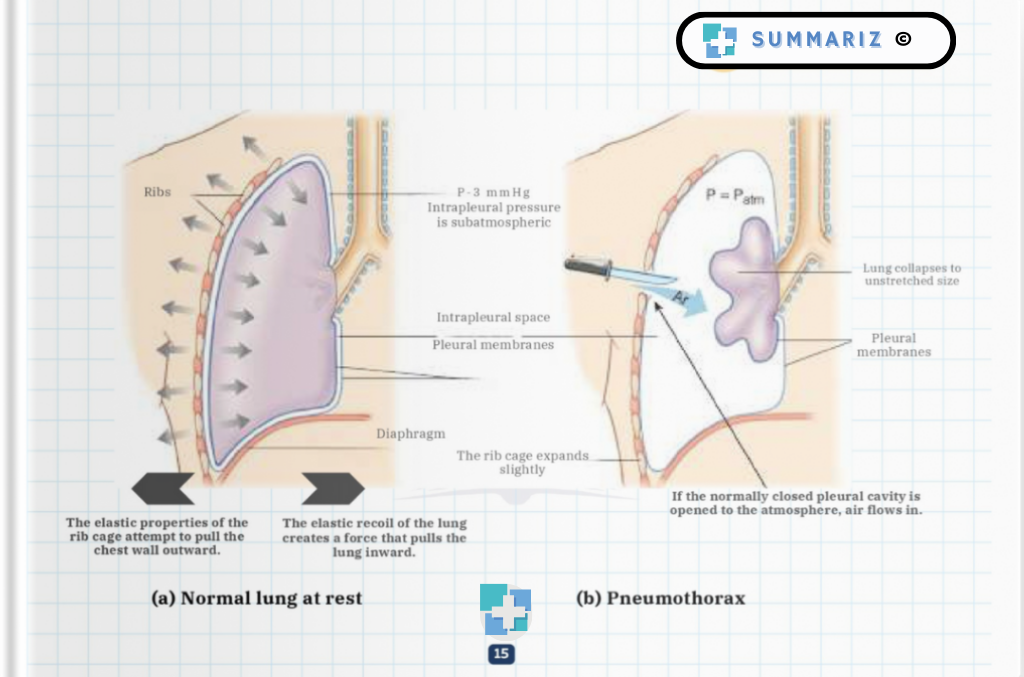 Mechanical Ventilation, Lung Mechanics, Ventilatory Cycle, Respiratory Failure, Invasive Ventilation, Non-Invasive Ventilation, Children's MV, Ventilation Parameters, MV Indications, NIV Indications, Respiratory Assessment, Ventilatory Support, MV Adjustments, Gasometric Adjustments, Pulmonary Effects, Cardiovascular Effects, Renal Effects, Nervous System, Nutritional Aspects, Barotrauma, Ventilatory Weaning, Pressure Alarms, Flow Asynchrony, Cycling Asynchrony, PEEP Titration, Health Professionals, Medical