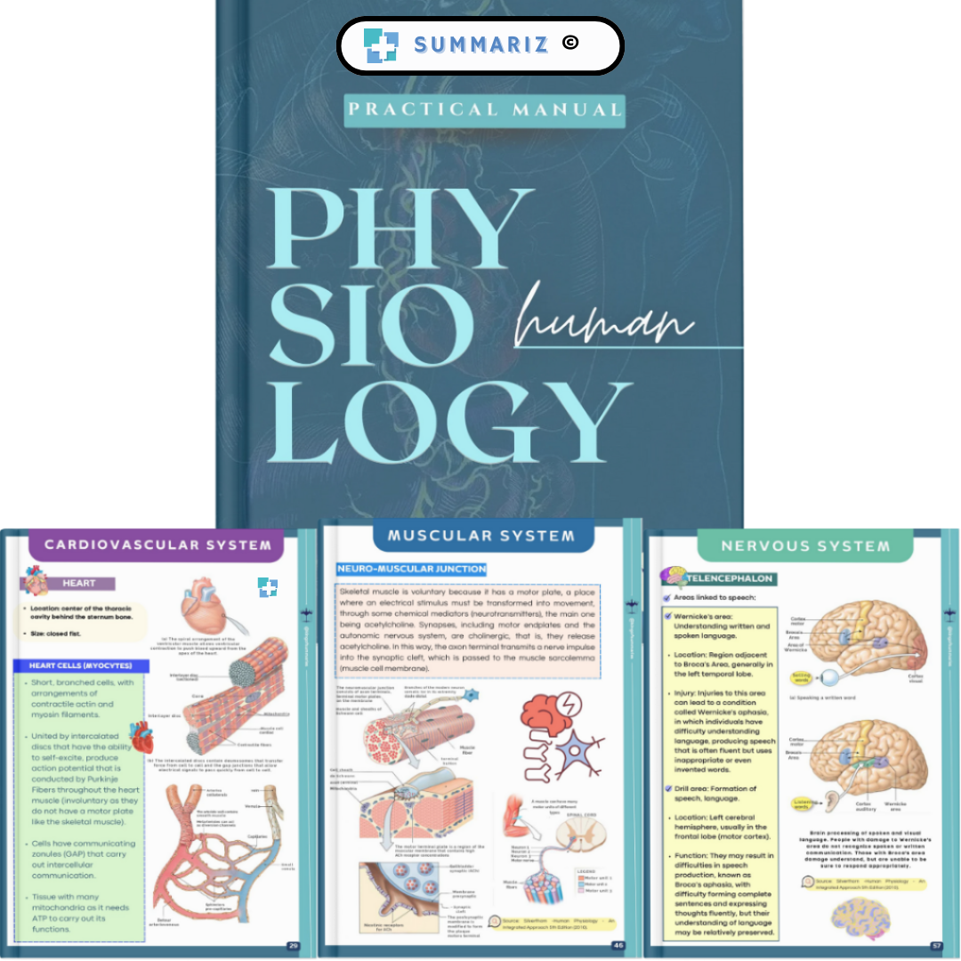 Human Physiology, Healthcare Studies, Medical Education, Homeostasis, Cell Signaling, Cardiovascular System, Muscular System, Central Nervous System, Respiratory System, Urinary System, Gastrointestinal System, Endocrine System, Positive Feedback, Negative Feedback, Chronobiology, Sleep Disorders, Cellular Signaling, Bioelectrogenesis, Heart Function, Muscle Contraction, Nervous Impulse, Glial Cells, Renal Homeostasis, Hormonal Action, Medical Reference, Clinical Practice, Study Material, Digital Guide, PDF